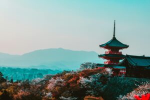 Okonomiyaki: Japan’s Savory Pancake and Cultural Icon